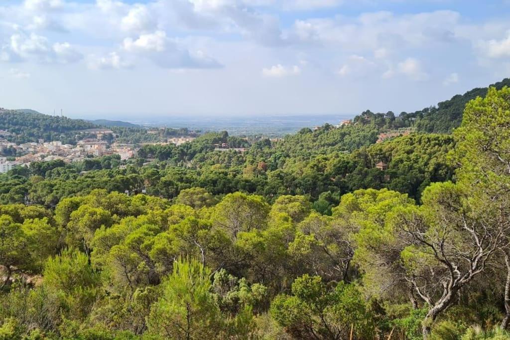 Acogedor Chalet Familiar En La Sierra Calderona Náquera المظهر الخارجي الصورة